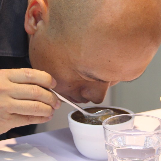 Hanson evaluating coffee during a cupping session