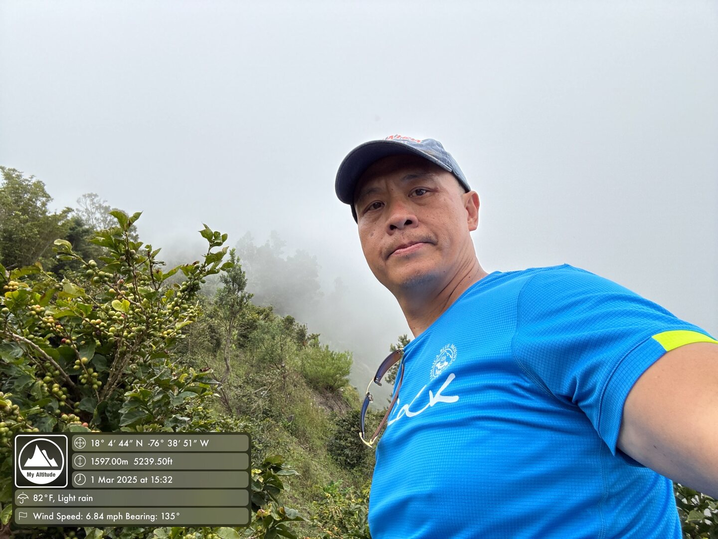 Hanson among coffee trees at Silver Hill Estate in Jamaica’s Blue Mountains
